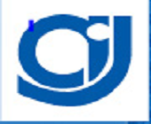Logo partenaire AIG